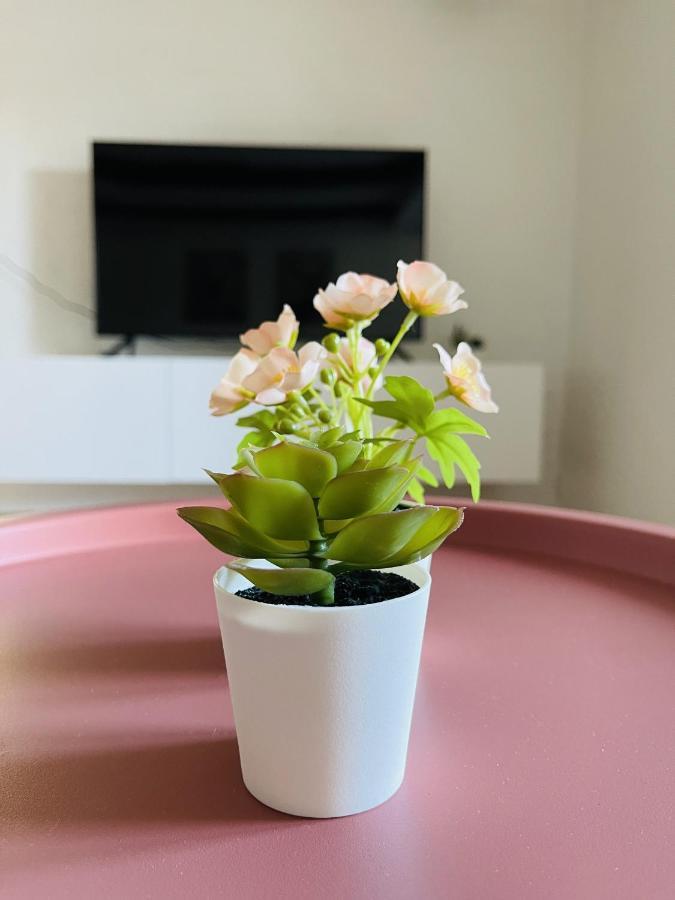 Aday - Central Charming Apartment With Terrace 奥尔堡 外观 照片